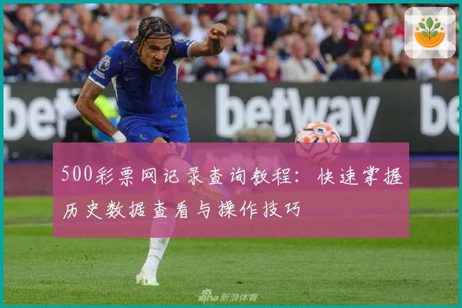 500彩票网记录查询教程：快速掌握历史数据查看与操作技巧