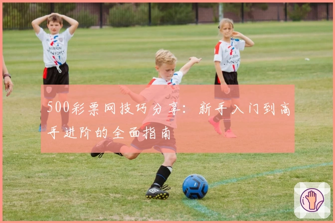 500彩票网技巧分享：新手入门到高手进阶的全面指南