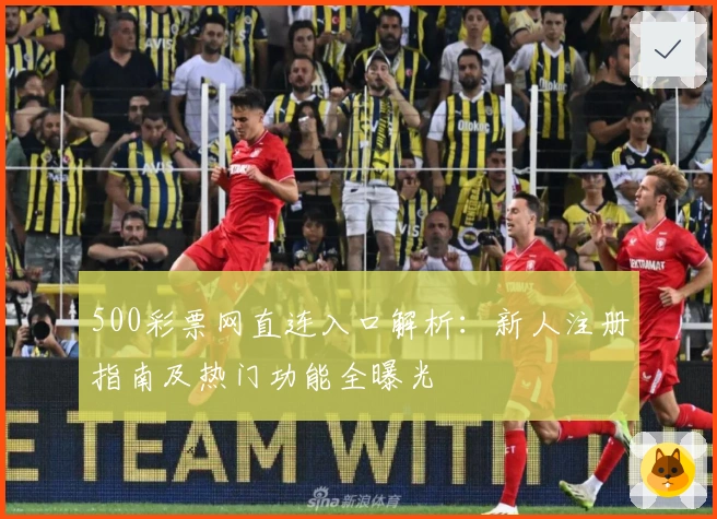 500彩票网直连入口解析：新人注册指南及热门功能全曝光